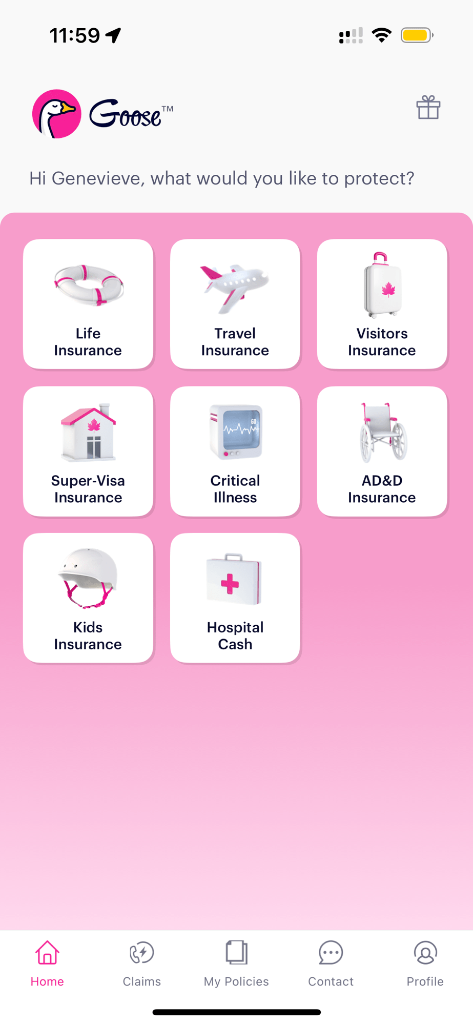 Goose Travel Insurance: A Cheap and Reliable Option for&nbsp;Travelers